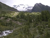 CH, Wallis, Blatten, Jegigletscher 1, Saxifraga-Willem van Kruijsbergen